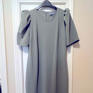 Sharagano Olive dress
